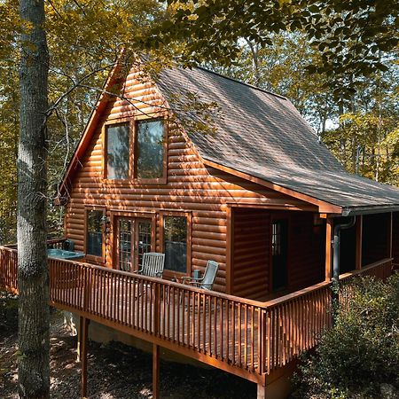 Great Smoky Mountains Cabin!, Secluded, Pet-Kid Friendly! Сев'єрвілл Екстер'єр фото